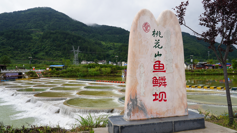 龍里縣龍山鎮余下村魚麟壩。