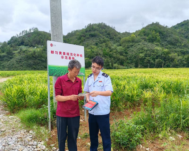 稅務人員前往貴州康椿農業有限公司開展政策宣傳。