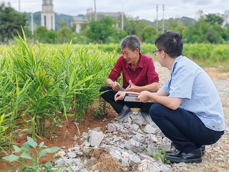 稅務人員前往貴州康椿農業有限公司開展政策宣傳。