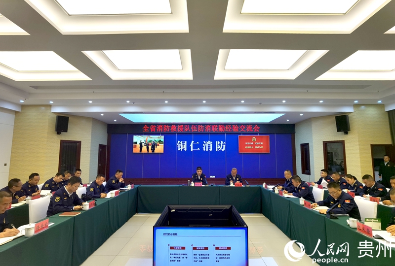 經驗交流會現場。人民網記者 王秀芳攝.jpg