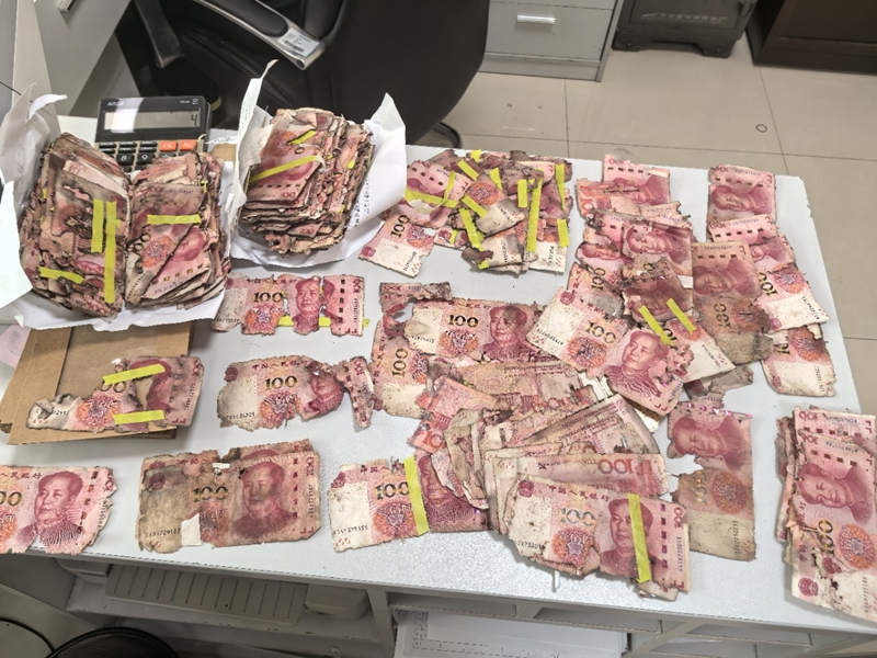 清點“鼠損鈔”。