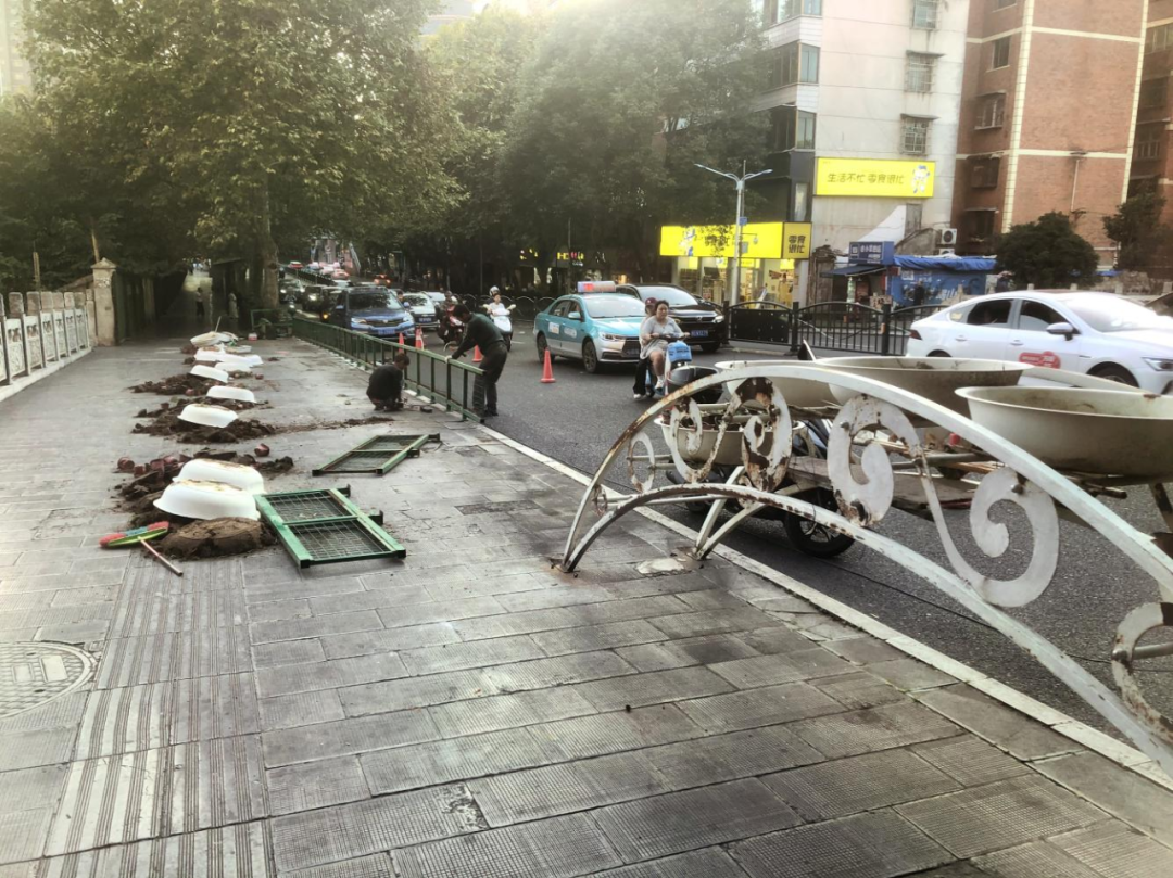 西秀區園林局開展花架拆除工作。