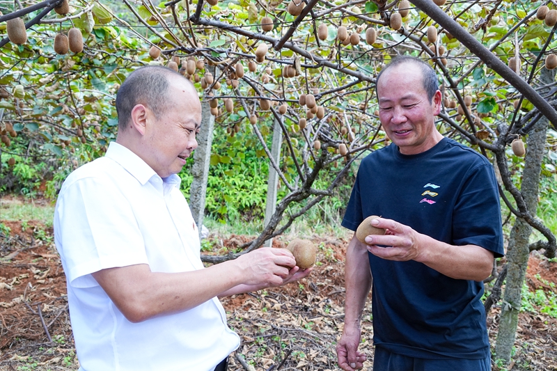 4、客戶經理了解種植情況。