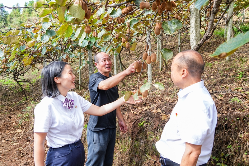 6、豐收的笑容。