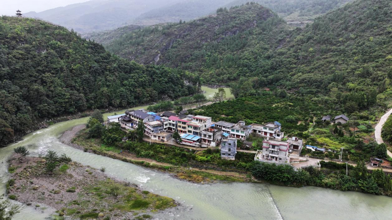 貴州印江：首現國家一級保護動物海南虎斑鳽。
