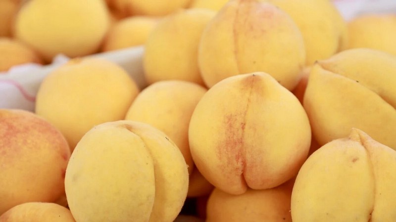  垂涎欲滴的黃桃。