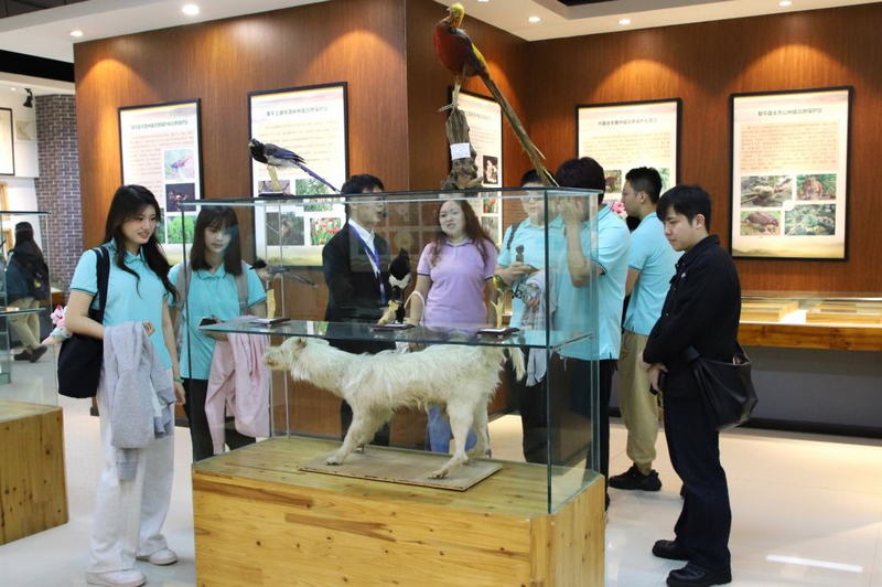 活動現場。