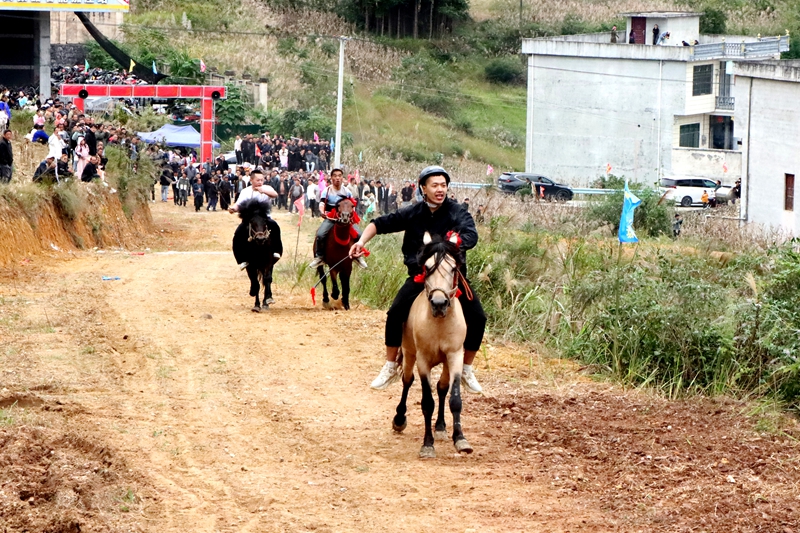 賽馬、歡歌、舞龍……貴州獨山縣玉水鎮端節氛圍感拉滿。