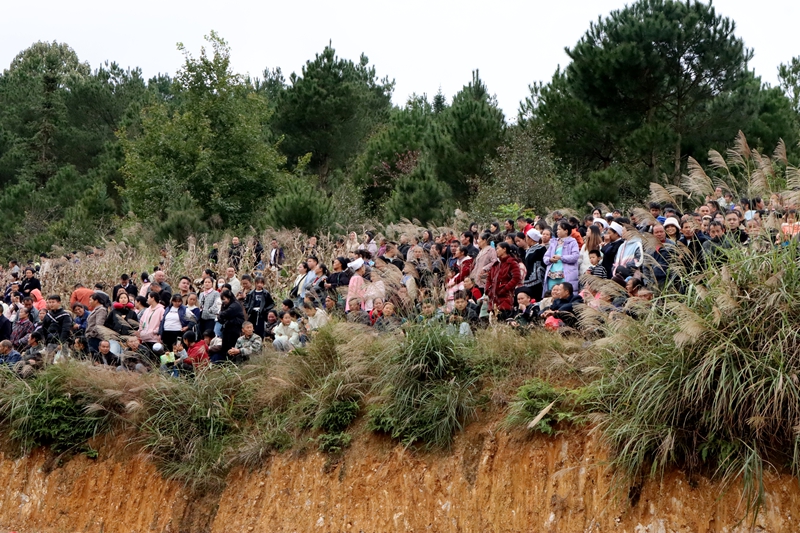 賽馬、歡歌、舞龍……貴州獨山縣玉水鎮端節氛圍感拉滿。