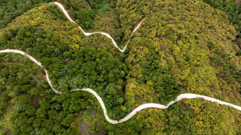 羅甸秋日一景。