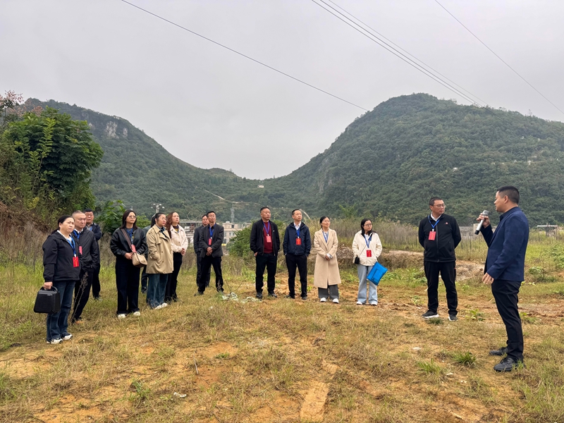 視察現場。