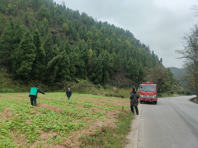 農戶們用消防車送來的水澆灌菜地。