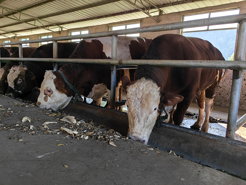 貴州石阡：閑置資產變增收之道。