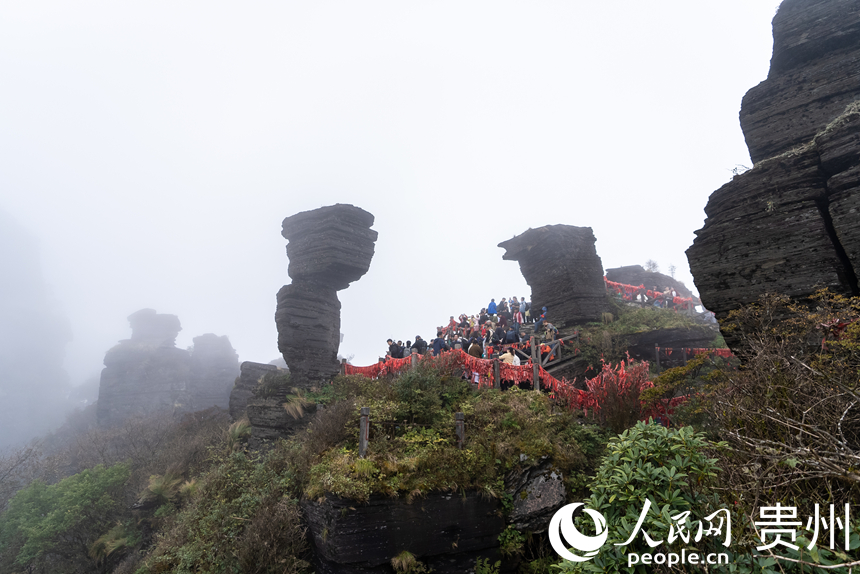 游客在梵凈山景區游覽。人民網記者 涂敏攝