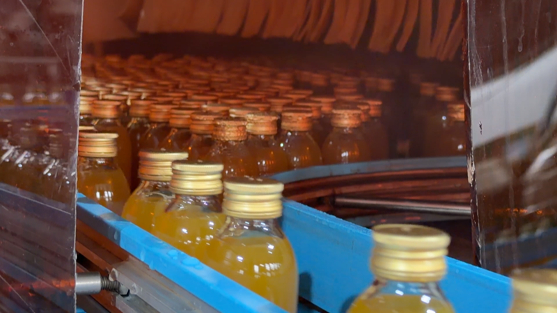 安順經開區金刺梨進入采收季。