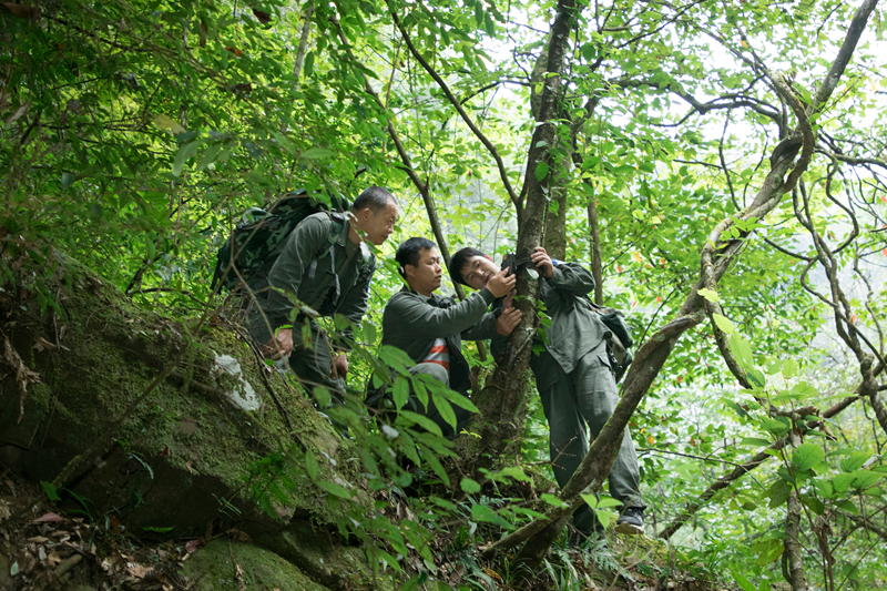 梵凈山加強文化遺產保護利用推進文旅融合發展。