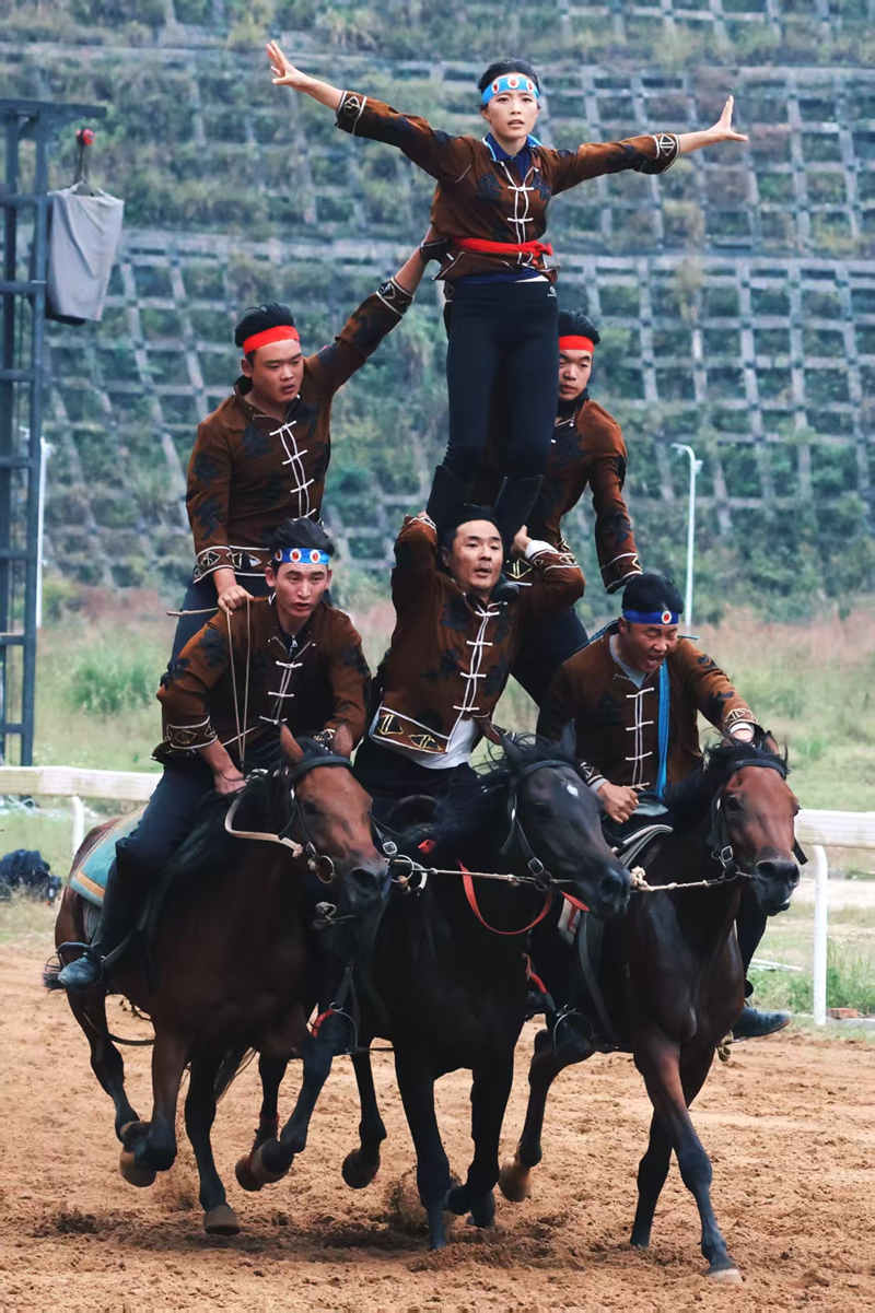 “貴州村馬”現場。