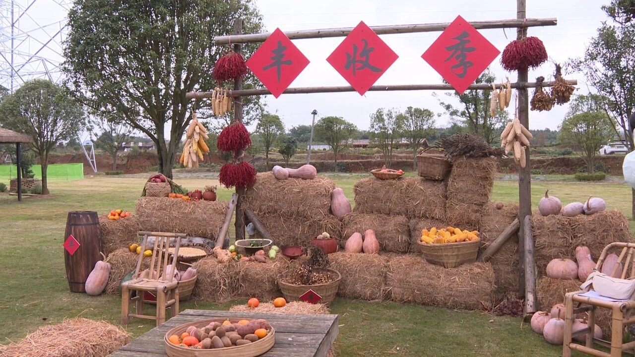 圖為活動現場。