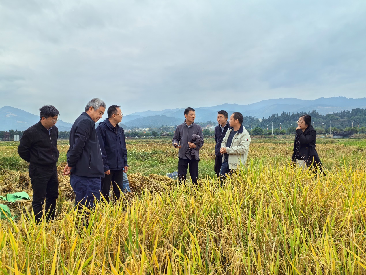 鄭常副教授（右四）向專家組匯報技術示范情況。貴州大學供圖