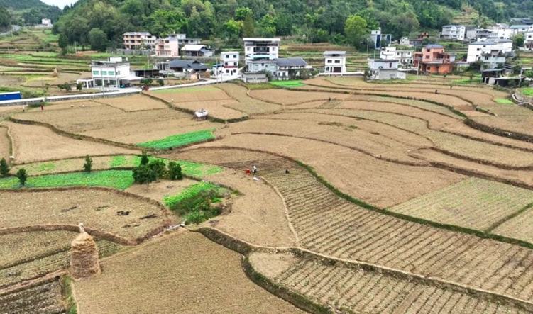 秋播秋種正當時丨桐梓縣官倉鎮：秋冬種按下“加速鍵”