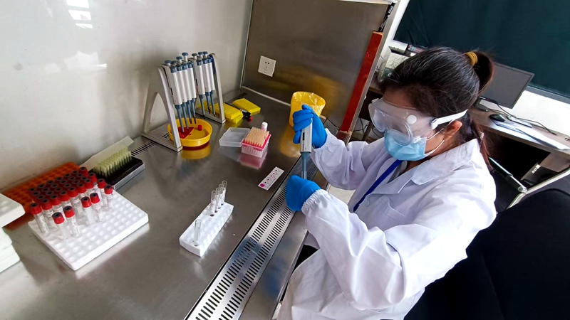 7、工作人員對入場的羊做布病檢測。刁苓沙 攝.jpg