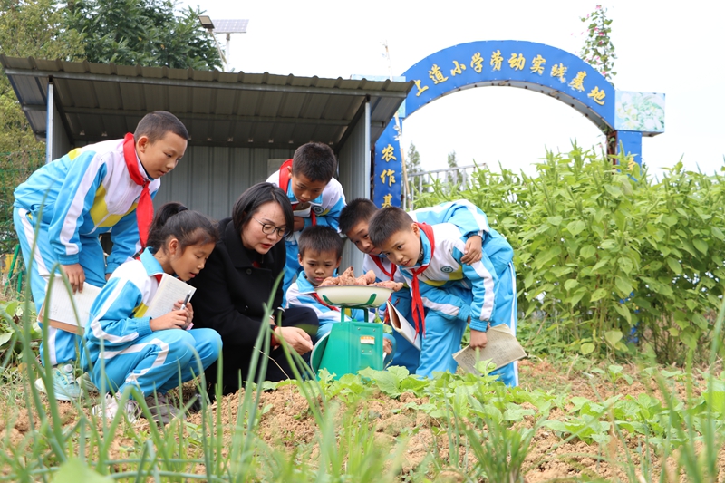 貴州獨山：從“刷題焦慮”到“季節作業” 鄉土文化里的特色“雙減”。