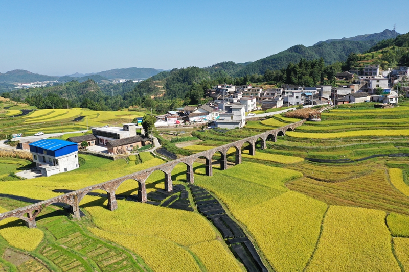乘勢而上開新局，奮楫揚帆破浪行。
