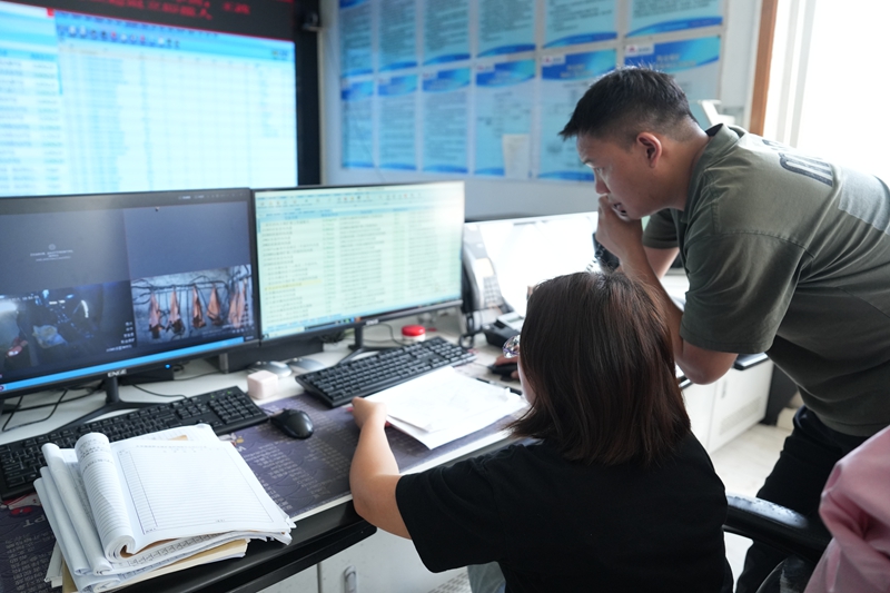 百里杜鵑以“富礦精開”推動煤炭產業高質量發展。