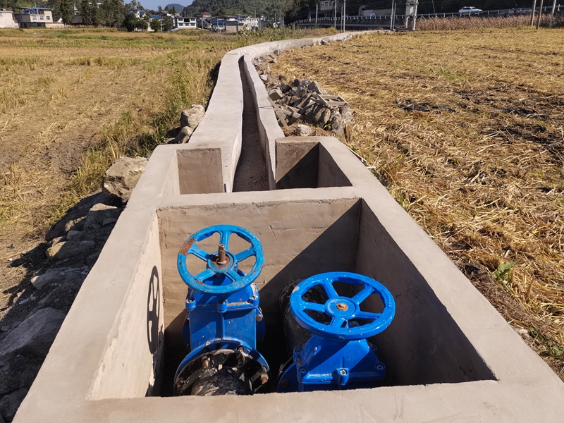 項目完工照片。