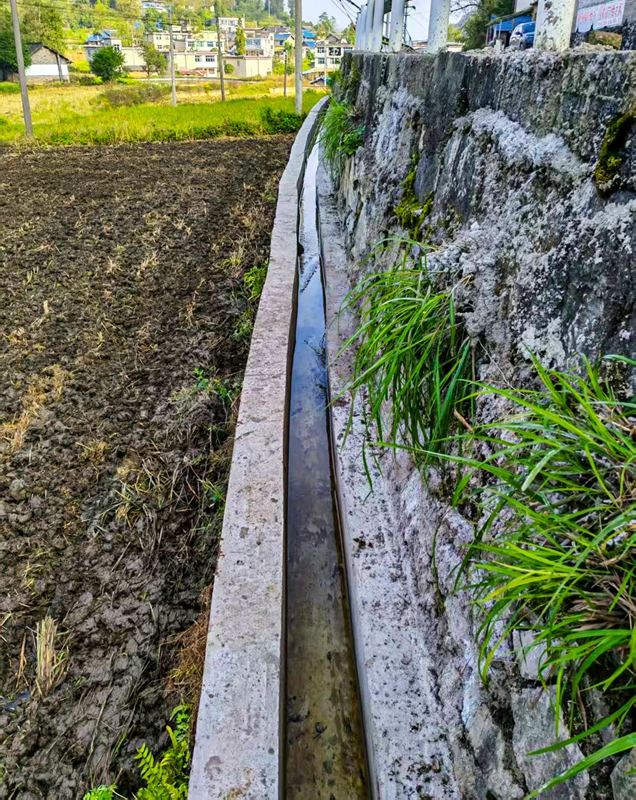 項目通水照片。