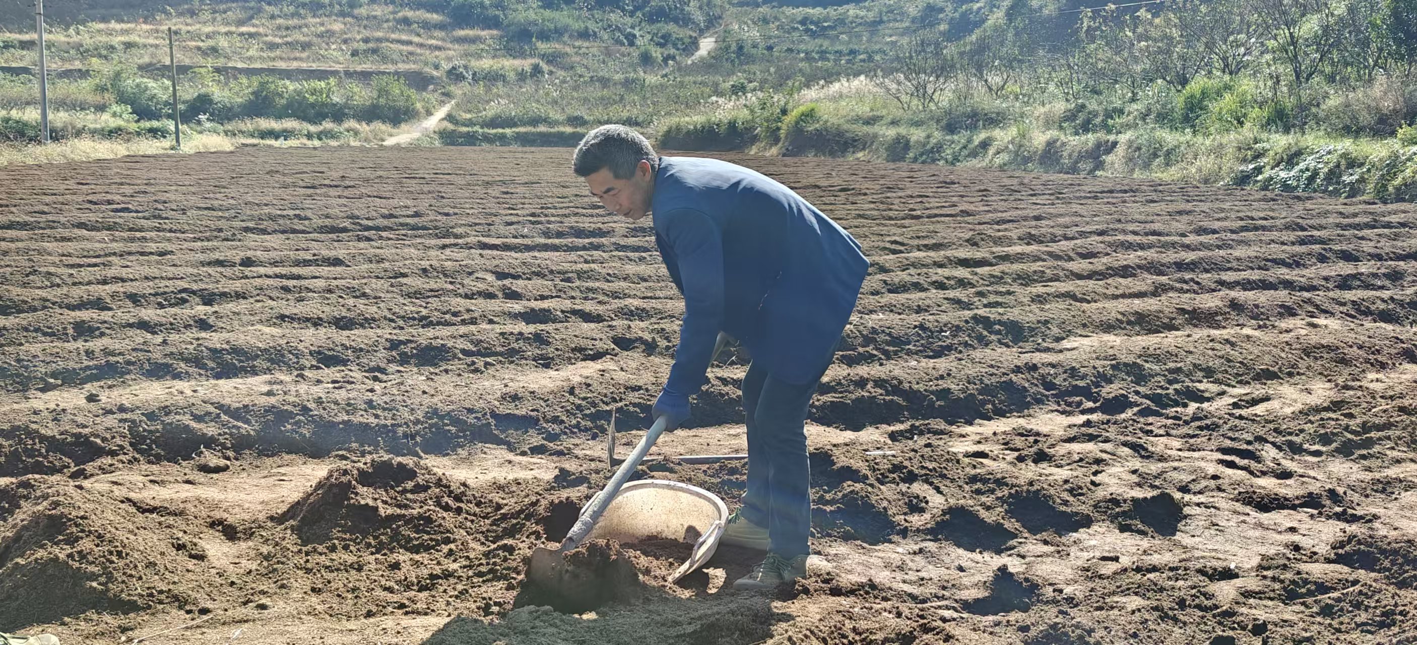 圖為：鋪撒基料 （胡曉嫻 攝）