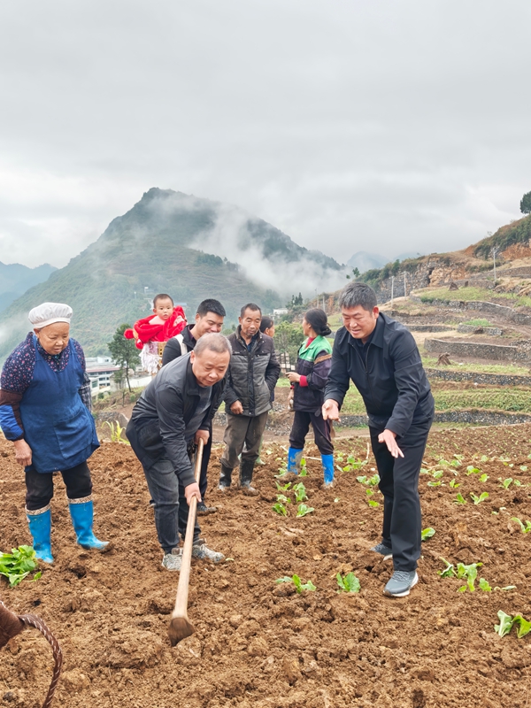 5、仁懷市各地還組織農技專家深入田間地頭，開展全周期技術指導服務。