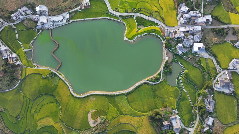 黃泥鄉朝門村。