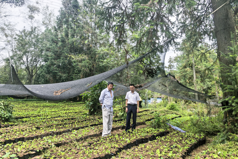 金融服務進基地。