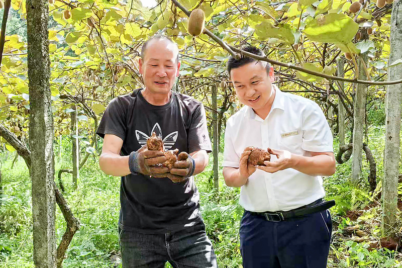 一起分享豐收的快樂。