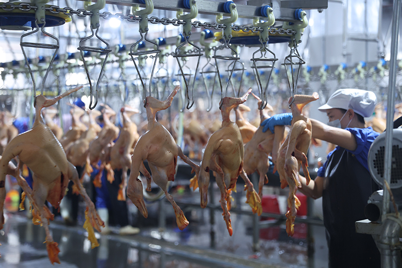 “后廠”生產車間.