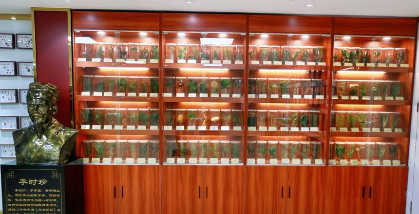 中藥活體標本展示區。