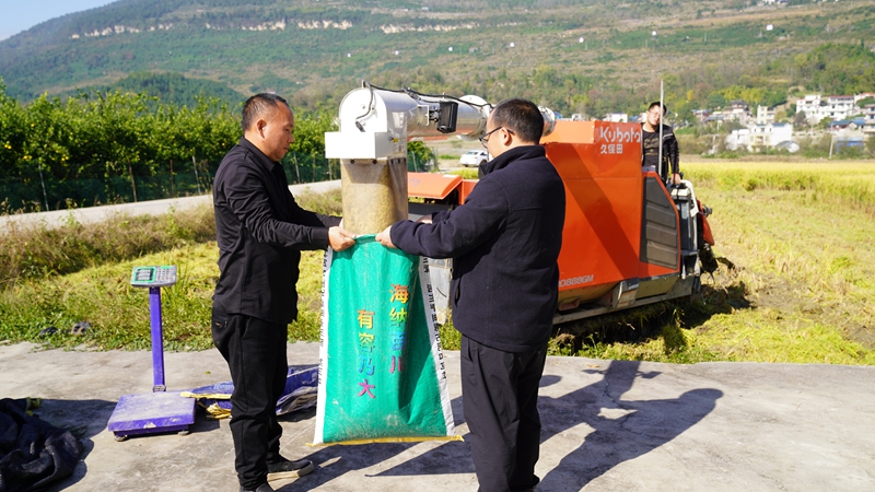 思南科技賦能“米袋子”，輪作激活“希望田”。