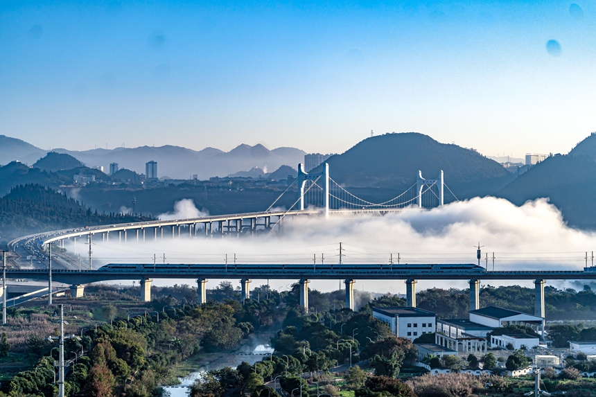 列車與金州大橋同框。龍建睿攝